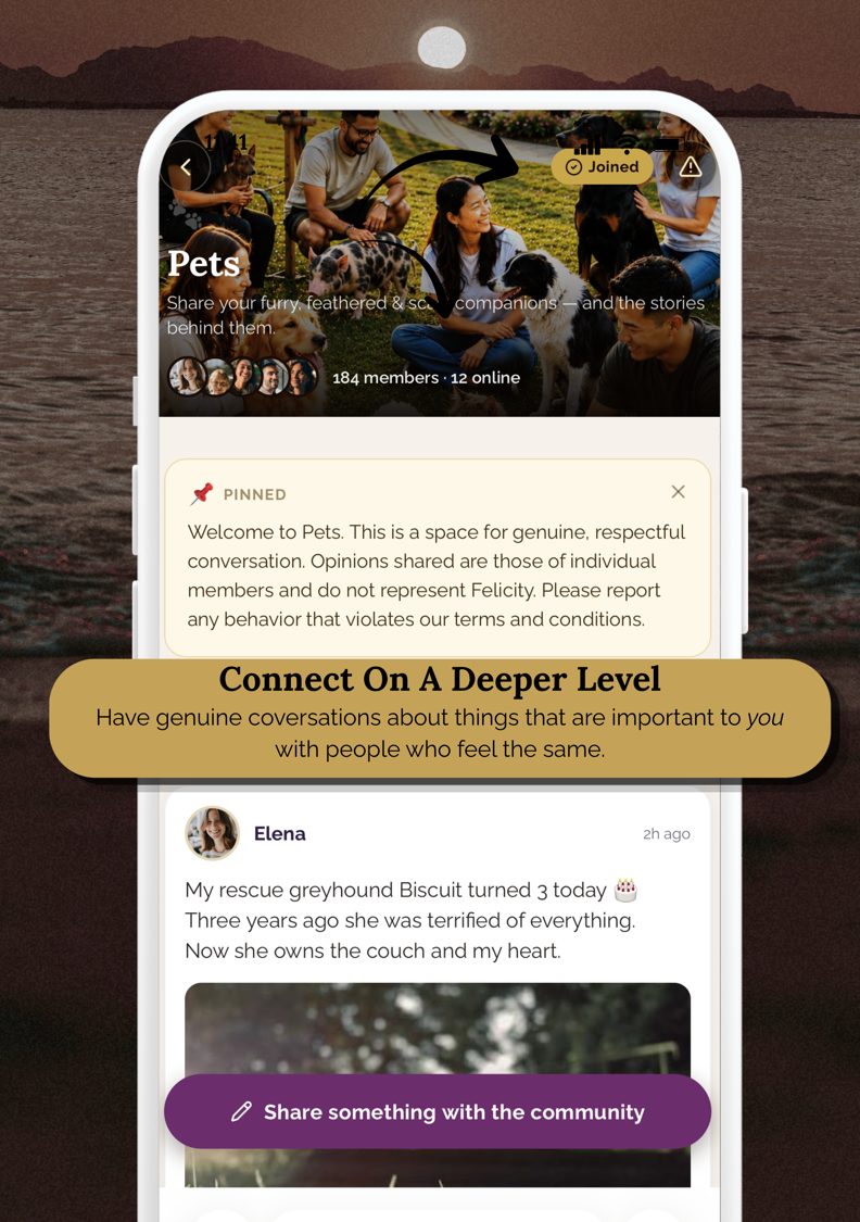 Inside the Pets group page, where members share posts and comments